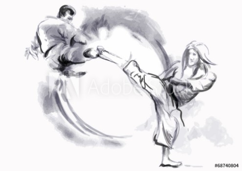 Bild på Karate - Hand drawn calligraphic vector